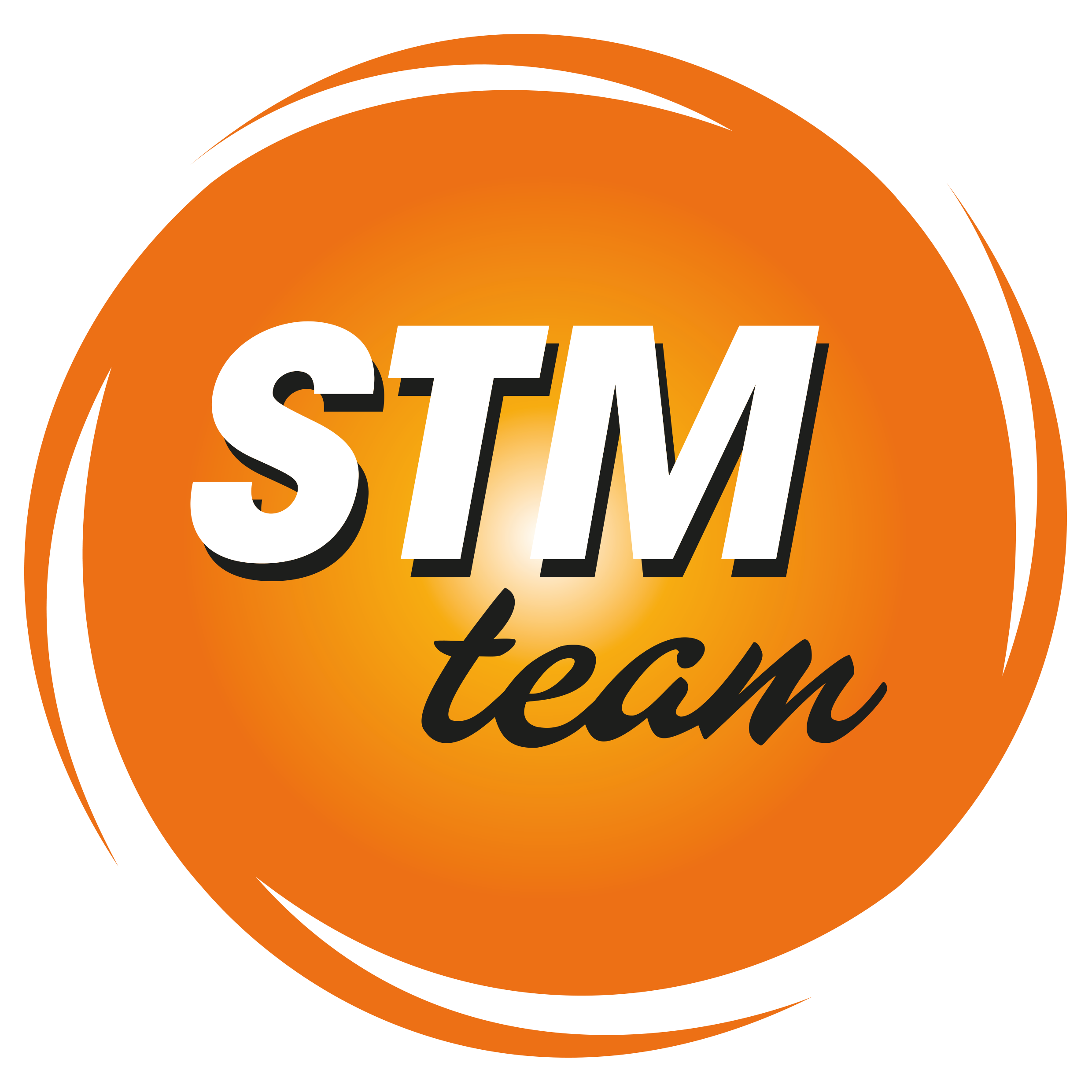 STM logo